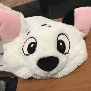 にゃこんの画像