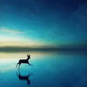 アクア