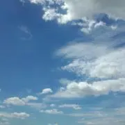 ココナッツミルクの画像