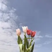 __naaの画像