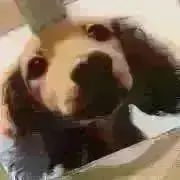 ポー☆プロフ必読の画像