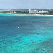 チュラカミちゃんの画像