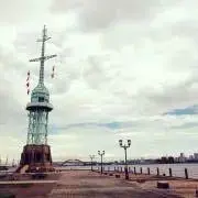 プルの画像