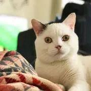 みんたの画像