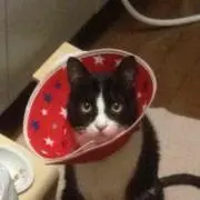 あかり