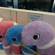 マヨネーズ
