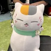ひなももの画像