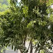 Image of Mmm