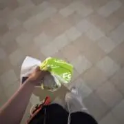 さかなの画像