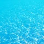 しんたろう