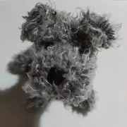 ゴンの画像
