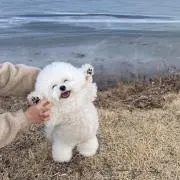 nnm プロフ必読❕の画像