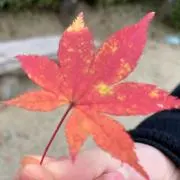 笹原　断捨離の画像
