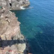 なっとう【プロフ必読】の画像
