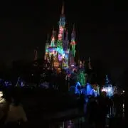 ぽんぽこの画像