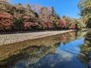 ゴリラ888の画像