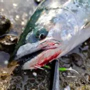 値下げ可能です！の画像
