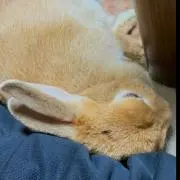 きよよ