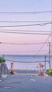 【1-2日で発送！】aoiの画像