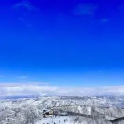 あくび姫の画像