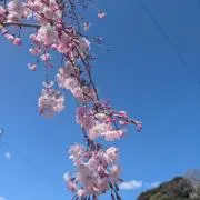 ワンツーの画像