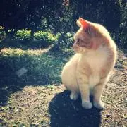 みおの画像