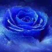 ロイヤルブルー