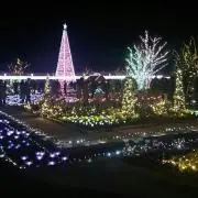 ☆You☆の画像