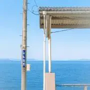のぶ　まとめ買い積極受付の画像