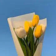 ran*プロフ必読*の画像
