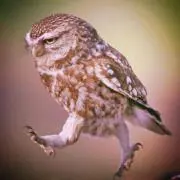 ムン※プロフ確認をお願いします