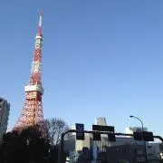 shinの画像