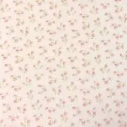 ひなの画像