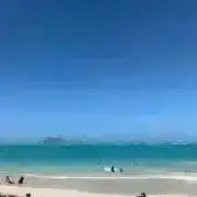 ゆらの画像