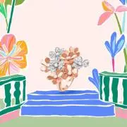JYMの画像