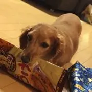 まろにい
