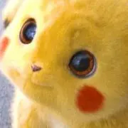 たんちゃんの画像