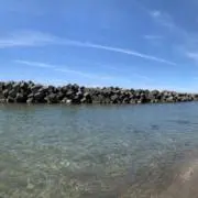 まるまままの画像