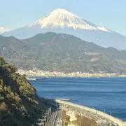 たぁの画像