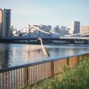 SatoHinaの画像