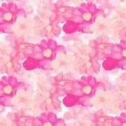 mの画像