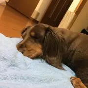 ｋｚの画像