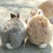 きよの画像