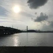 zaの画像