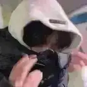 kook_の画像