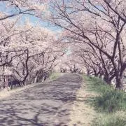 ra07の画像
