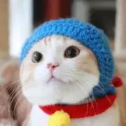 ガアラ