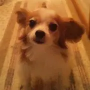 ♡ゆみボー♡＊プロフ必読＊