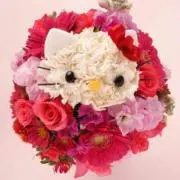 COCO⋈の画像