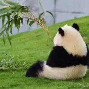 hana0915の画像